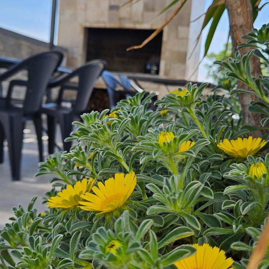Villa Silver Starigrad Paklenica Exterior photo